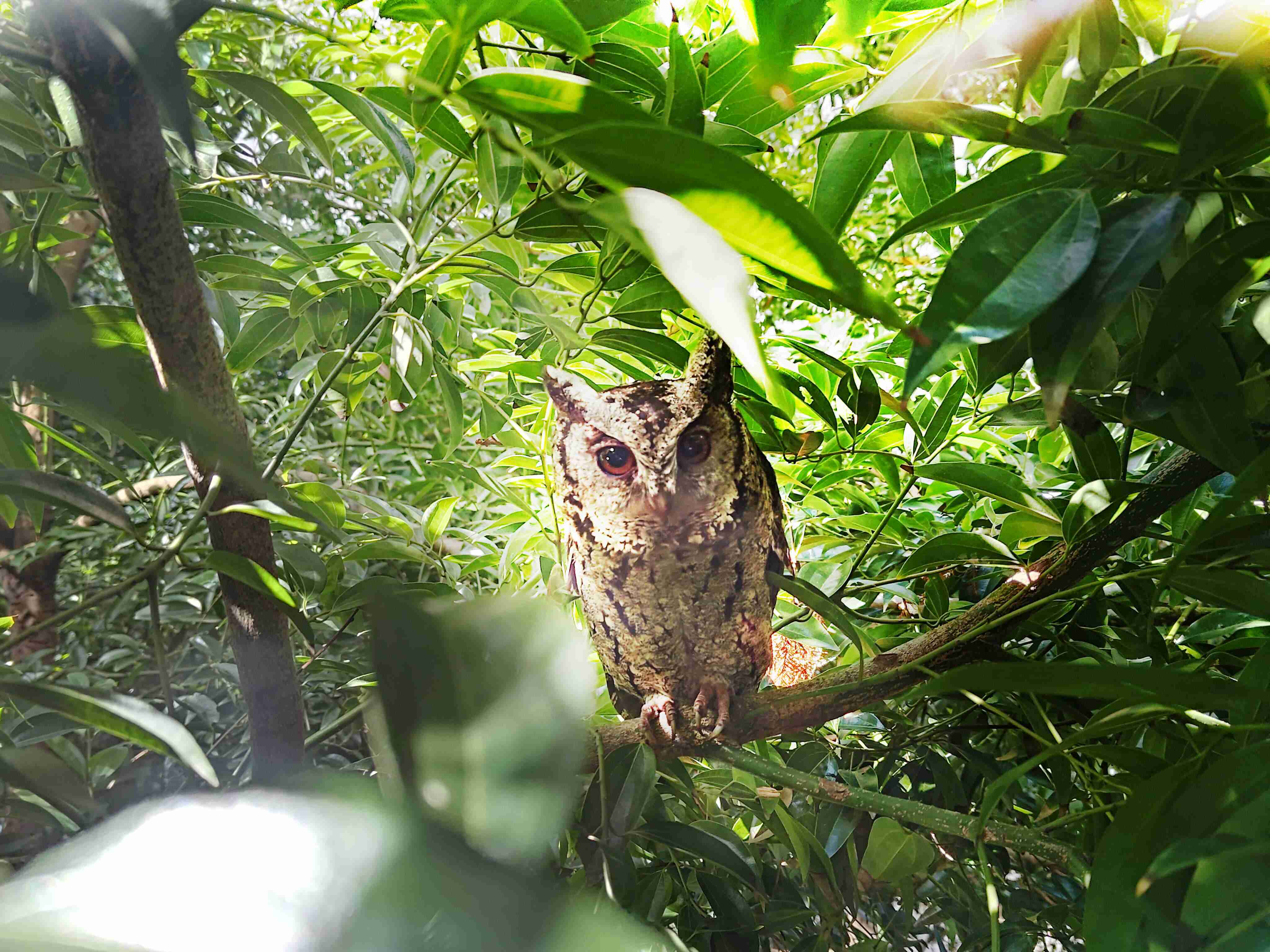 菠菜论坛致力提倡净零绿生活，，16年以来在全球各厂区植树逾百万棵，，，，造就各厂区树木蔚然成林，，，犹如森林工厂，，，成为许多生物的栖息地